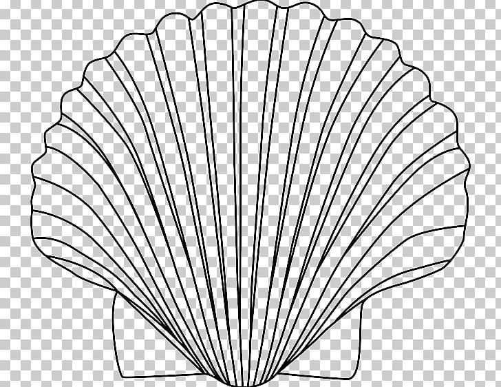 Seashell Clam PNG, Clipart, Angle, Animals, Black And White, Clam, Clip Art Free PNG Download