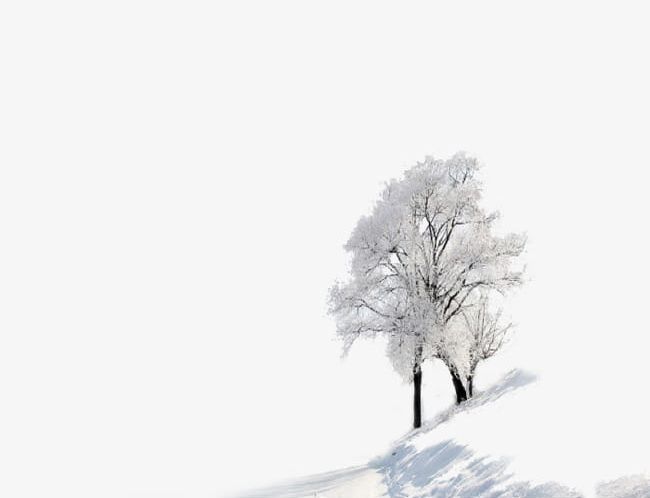 Two Trees In The Winter PNG, Clipart, Covered, Learning, Silver, Snow, Snows Free PNG Download