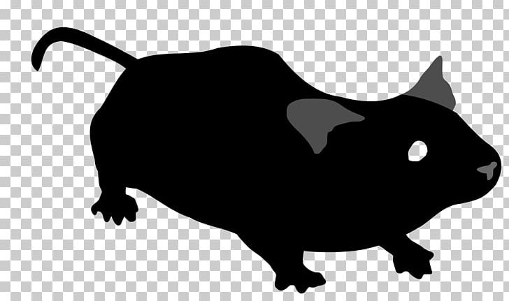 Computer Mouse Epistasis PNG, Clipart, Animals, Black, Black And White, Carnivoran, Cat Free PNG Download