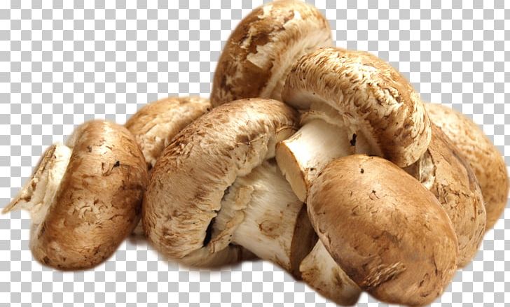 Mushroom Shiitake Food Wine Vegetable PNG, Clipart, Chanterelle, Common Mushroom, Craterellus Lutescens, Edible Mushroom, Food Free PNG Download