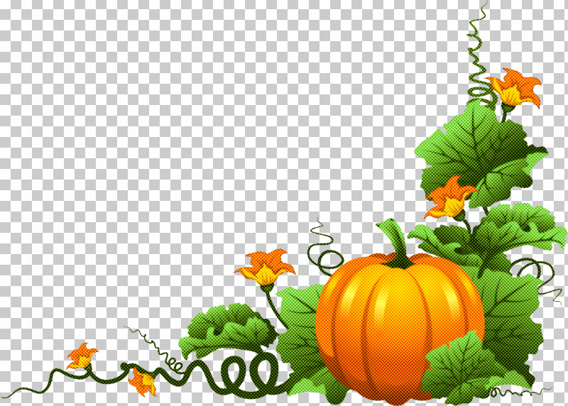 Pumpkin PNG, Clipart, Calabaza, Cucurbita, Flower, Fruit, Gourd Free PNG Download
