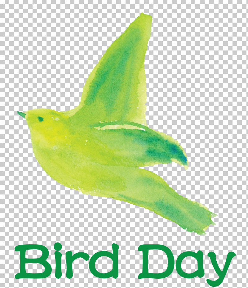Bird Day Happy Bird Day International Bird Day PNG, Clipart, Beak, Biology, Bird Day, Birds, Meter Free PNG Download