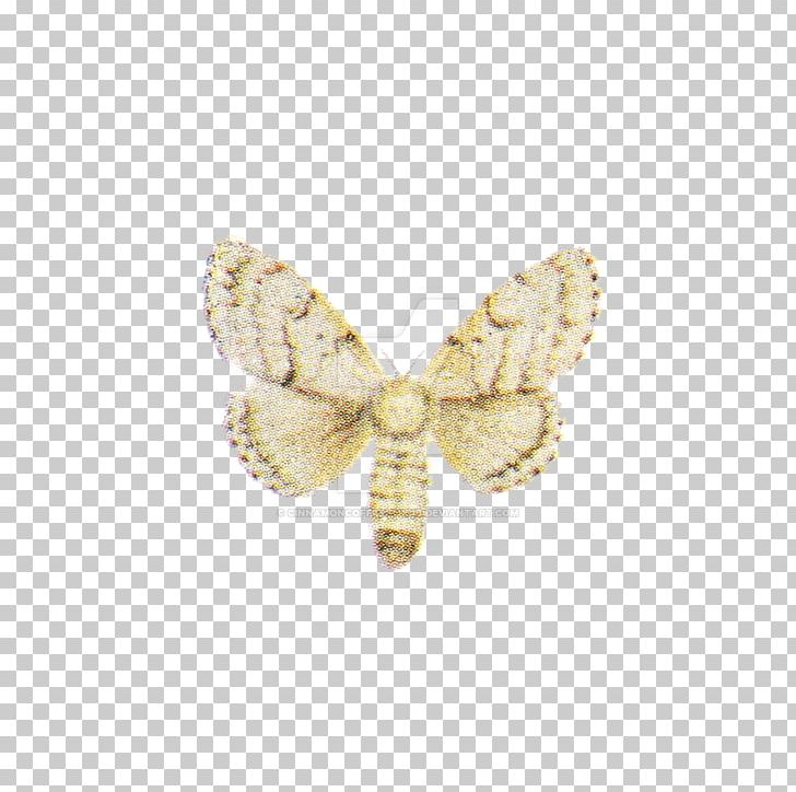 Butterfly Insect Pollinator Moth Brooch PNG, Clipart, Brooch, Butterflies And Moths, Butterfly, Insect, Insects Free PNG Download