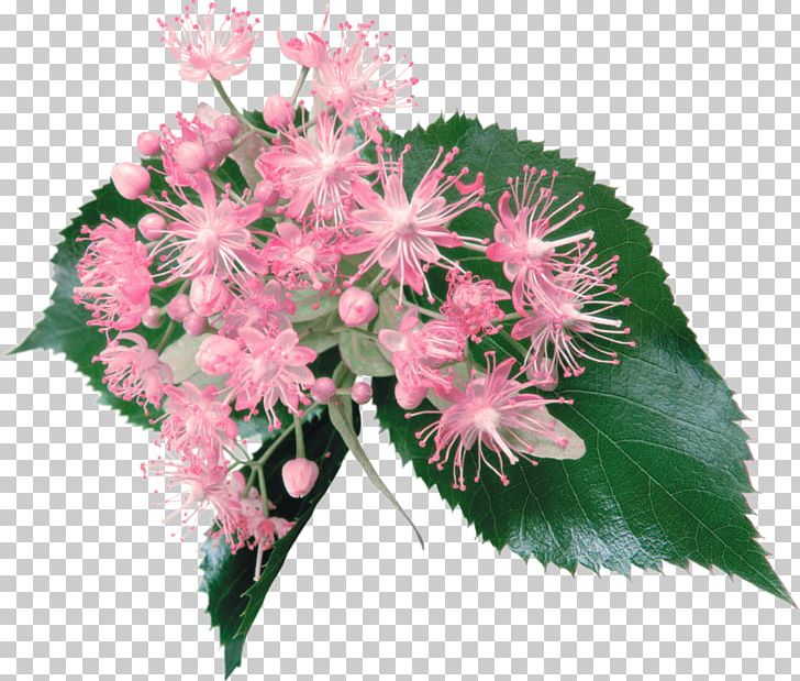 Floral Design Cut Flowers Flower Bouquet PNG, Clipart, 7 April, Annual Plant, Cut Flowers, Desktop Wallpaper, Floral Design Free PNG Download