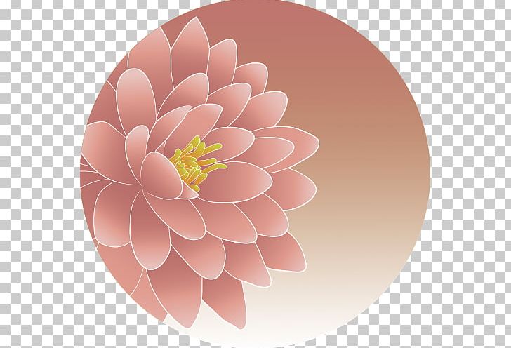 Dahlia Pink M Floral Design RTV Pink PNG, Clipart, Art, Dahlia, Floral Design, Flower, Flowering Plant Free PNG Download