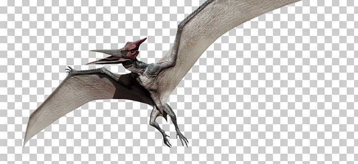 Pteranodon Dimorphodon Pterodactyls Ankylosaurus Jurassic Park PNG, Clipart, Animal Figure, Ankylosaurus, Beak, Colin Trevorrow, Dimorphodon Free PNG Download