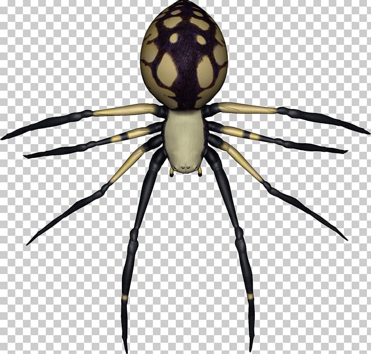 Spider-Man Southern Black Widow Spider Web PNG, Clipart, Arachnid, Arthropod, Backpacking, Bugs, Choper Free PNG Download
