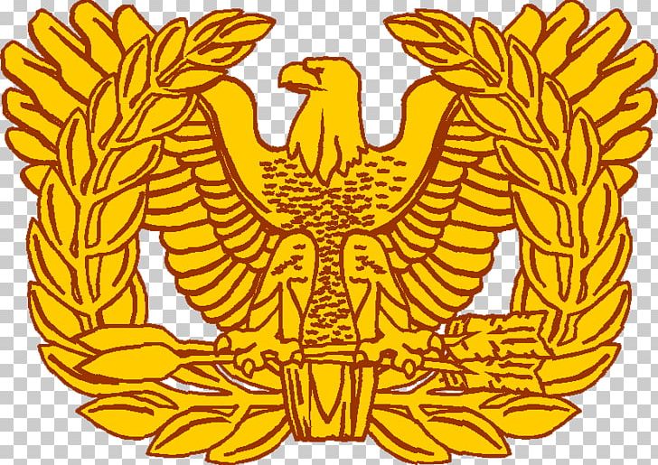 Warrant Officer Army Officer Military Rank United States Army PNG, Clipart, Army, Army National Guard, Art, Beak, Chief Warrant Officer Free PNG Download
