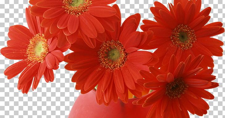 Wedding PNG, Clipart, Animaatio, Chrysanths, Cut Flowers, Daisy Family, Etc Free PNG Download