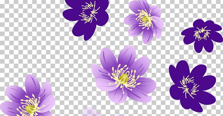 Drawing PNG, Clipart, Anemone, Art, Back Grounds, Caricature, Computer Wallpaper Free PNG Download