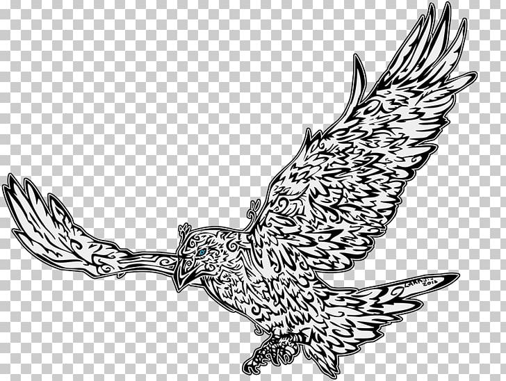 Eagle Owl Line Art Hawk Beak PNG, Clipart, Animals, Art, Beak, Bird, Bird Of Prey Free PNG Download
