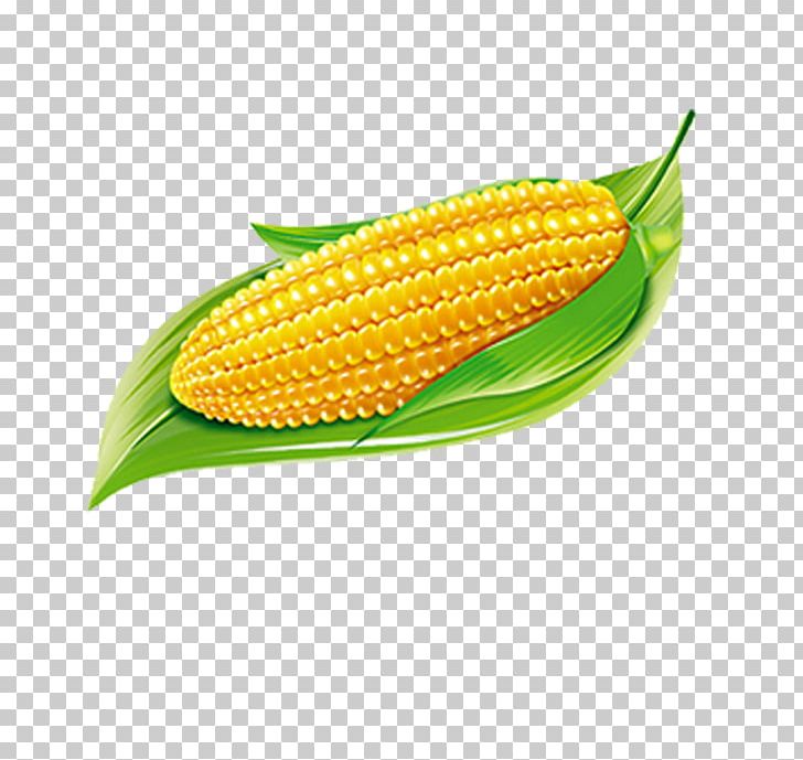 Maize Food PNG, Clipart, Cartoon Corn, Commodity, Corn, Corn Cartoon, Corn Flakes Free PNG Download