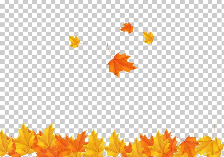 Autumn Leaf PNG, Clipart, Alien Pictures, Autumn, Computer Wallpaper, Design, Fall Leaves Free PNG Download