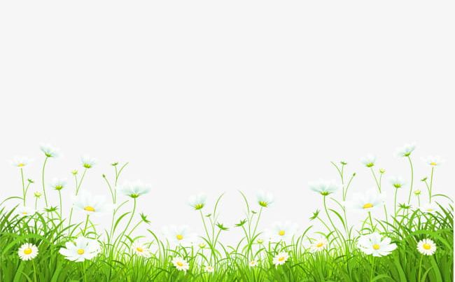 Grass And Flowers PNG, Clipart, Decoration, Flowers, Flowers Clipart, Grass Clipart, Grassland Free PNG Download