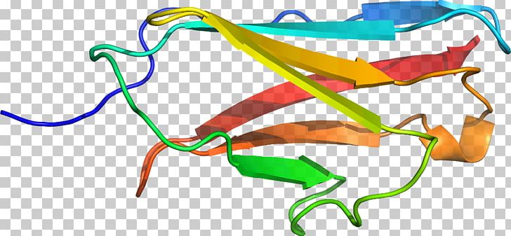 Line Point PNG, Clipart, Area, Art, Line, Organism, Point Free PNG Download
