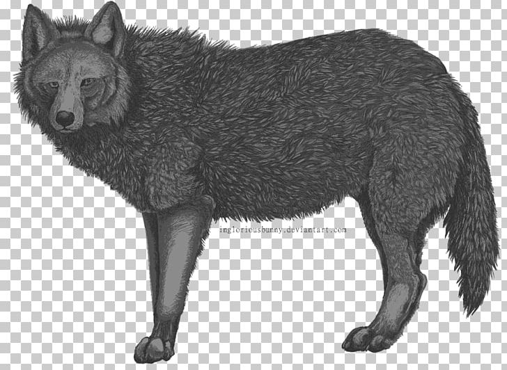 Red Fox Raccoon Gray Fox Dog Viverrids PNG, Clipart, Black And White, Breed, Carnivoran, Dog, Dog Breed Free PNG Download