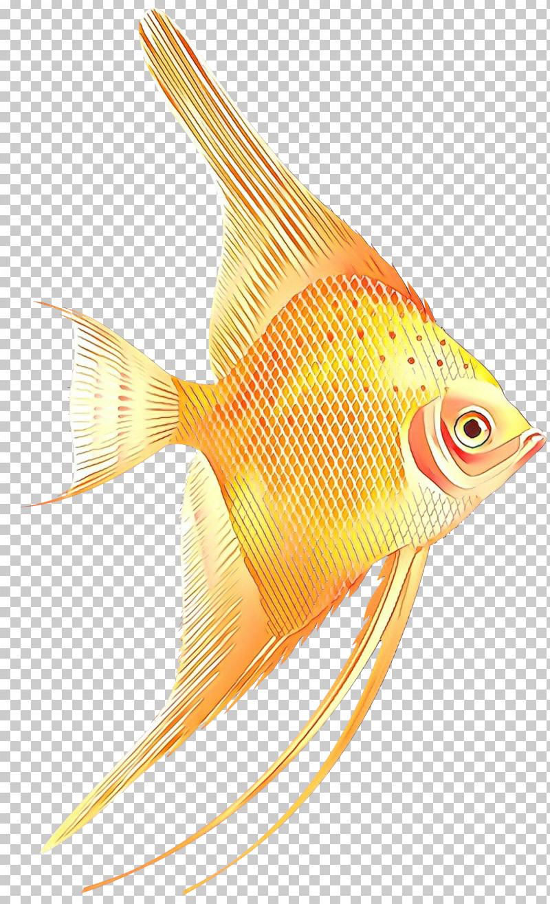 Fish Fish Fin Pomacanthidae Goldfish PNG, Clipart, Bonyfish, Butterflyfish, Feeder Fish, Fin, Fish Free PNG Download