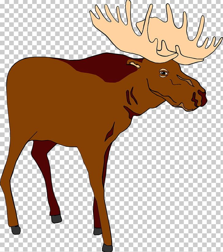 Moose Free Content Stock.xchng PNG, Clipart, Antler, Blog, Cartoon, Cattle Like Mammal, Deer Free PNG Download