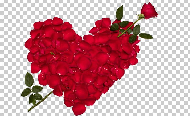 Rose Love Flower Valentine's Day Desktop PNG, Clipart,  Free PNG Download