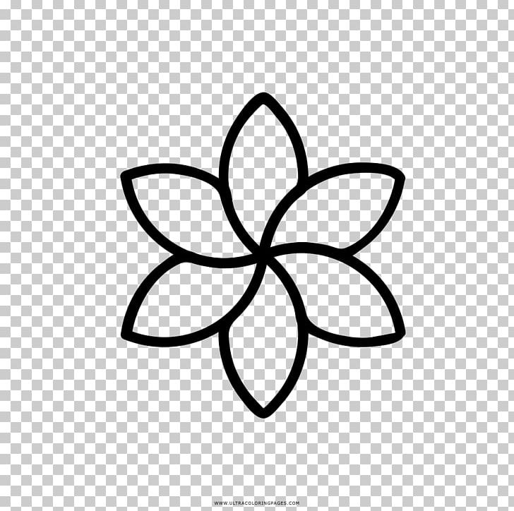 Aparthotel Orquídea Ibiza Drawing Celtic Knot Business PNG, Clipart, Area, Art, Artwork, Black And White, Business Free PNG Download
