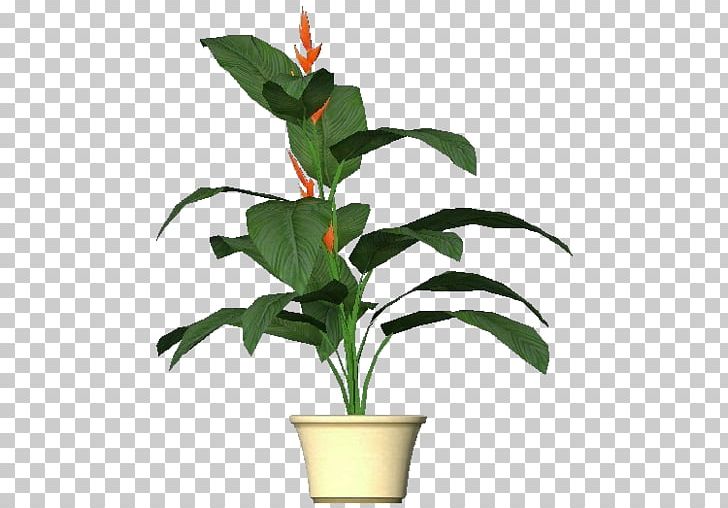 Heliconia Subulata Lobster-claws Plants 3-D Plant Computer Software PNG, Clipart, 3d Computer Graphics, Building Information Modeling, Computer Software, Construction, Download Free PNG Download