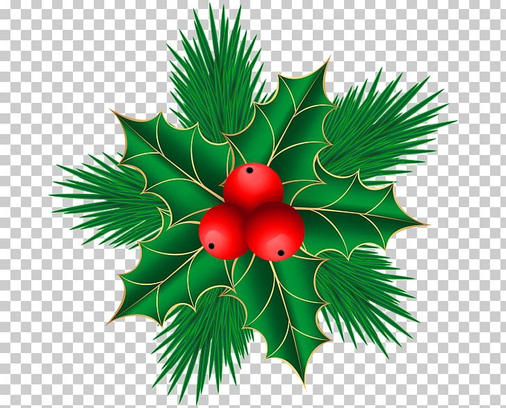 Mistletoe Christmas Decoration PNG, Clipart, Aquifoliaceae, Aquifoliales, Branch, Christmas, Christmas Decoration Free PNG Download