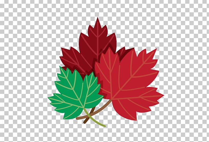 Toronto Maple Leafs Canada PNG, Clipart, Bit, Canada, Coat Of Arms Of Ontario, Computer Icons, Flower Free PNG Download