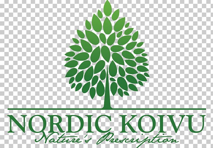 Birch Sap Food Juice Nordic Koivu Oy PNG, Clipart, Birch, Birch Sap, Brand, Drink, Flora Free PNG Download