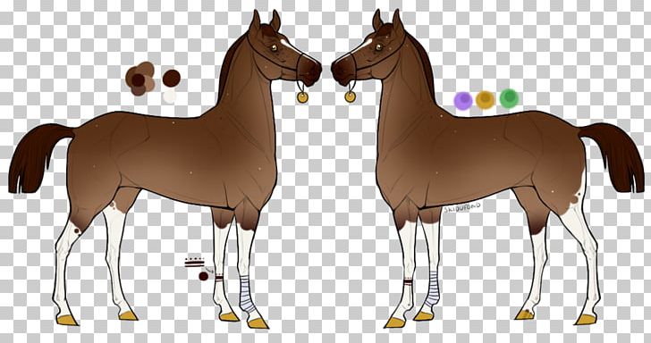 Foal Mustang Camel Stallion Halter PNG, Clipart,  Free PNG Download