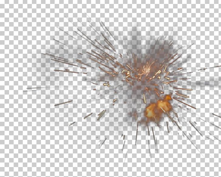 Insect Close-up Pest Computer PNG, Clipart, Attack, Blasting, Closeup, Cloud Explosion, Color Explosion Free PNG Download