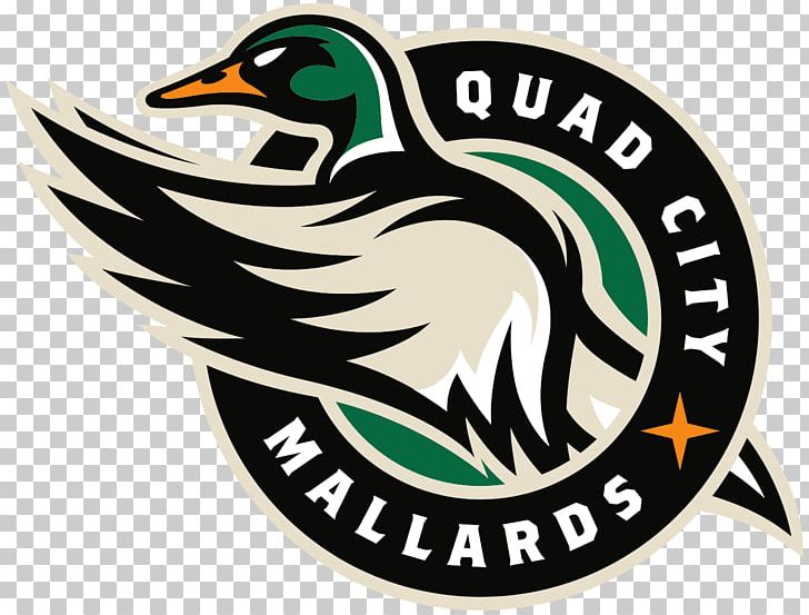 Quad City Mallards Logo PNG, Clipart, Echl, Ice Hockey, Sports Free PNG Download