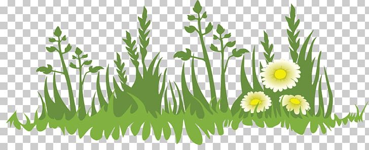 Cartoon PNG, Clipart, Art, Cartoon, Chamomile, Child, Commodity Free PNG Download