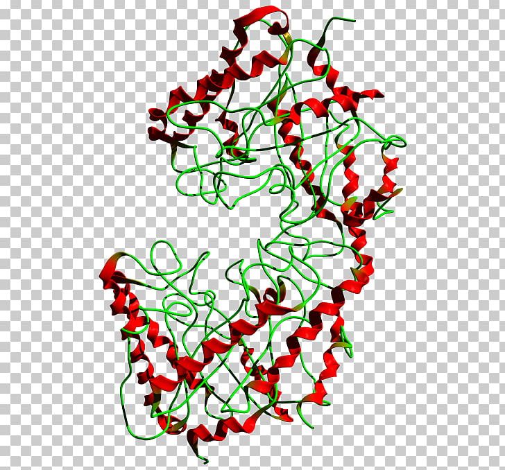 Cellulase Cellulose Enzyme Endogeny Active Site PNG, Clipart, Active Site, Area, Art, Artwork, Biology Free PNG Download