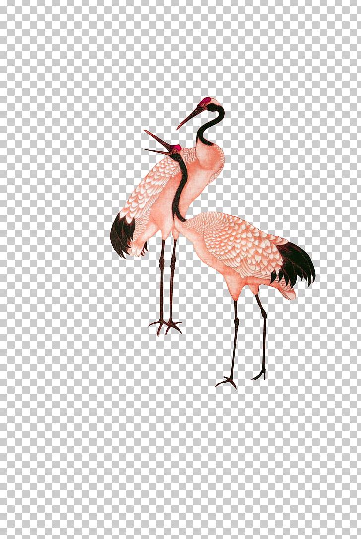 Red-crowned Crane Google S PNG, Clipart, Animal, Beak, Bird, Chinese, Chinese New Year Free PNG Download