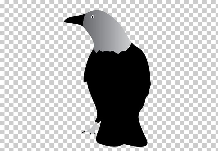 Common Raven PNG, Clipart, Baltimore Ravens, Beak, Bird, Black And White, Blog Free PNG Download