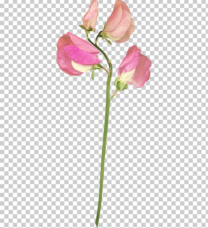 Garden Roses Cut Flowers Tulip PNG, Clipart, Artificial Flower, Bud, Desktop Wallpaper, Floriculture, Flower Free PNG Download