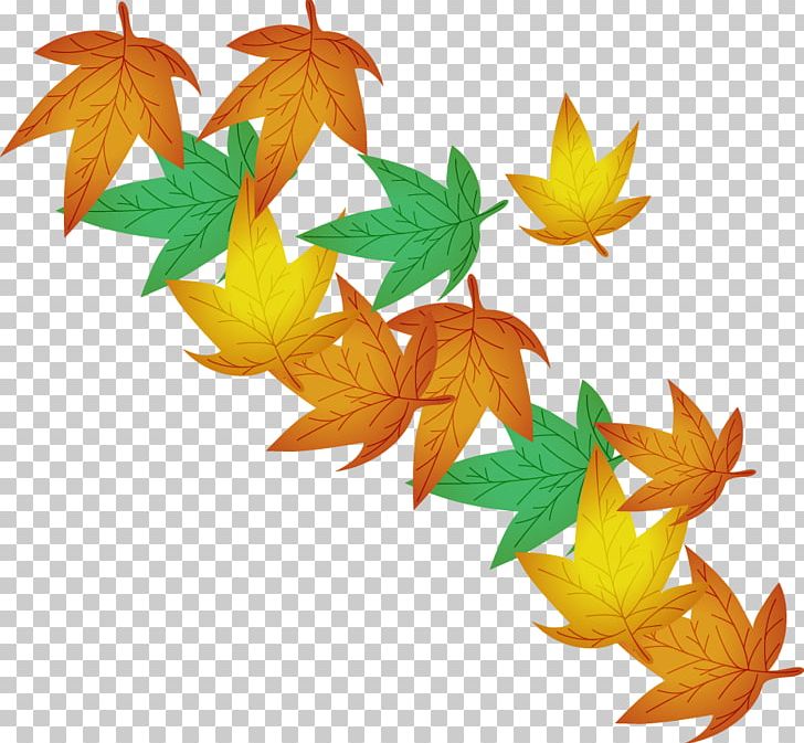 Maple Leaf Illustration PNG, Clipart, Autumn, Defoliation, Download, Encapsulated Postscript, Flowering Plant Free PNG Download