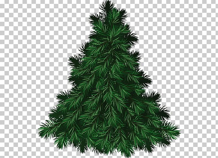 Portable Network Graphics Christmas Tree Pine PNG, Clipart, Abies, Blue Spruce, Christmas Day, Christmas Decoration, Christmas Ornament Free PNG Download