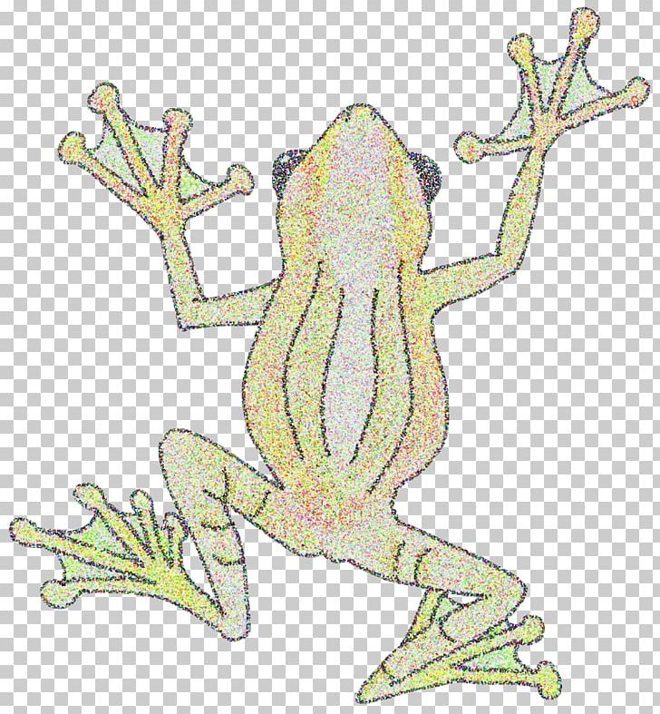 True Frog Amphibian Art Tree Frog PNG, Clipart, Amphibian, Animal, Animal Figure, Animals, Art Free PNG Download