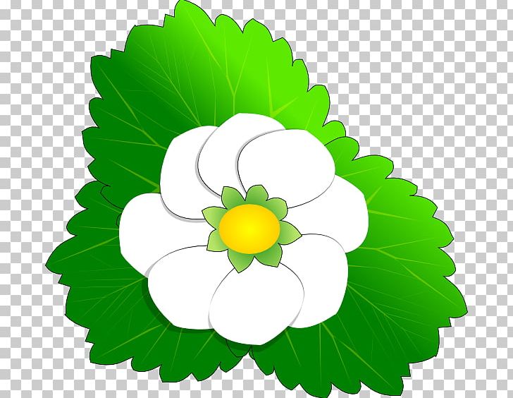 Flower Drawing PNG, Clipart, Annual Plant, Art, Blog, Circle, Common Daisy Free PNG Download