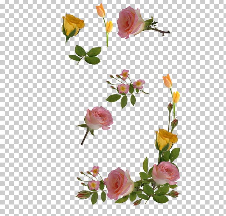 Garden Roses Flower Cabbage Rose Floral Design Photography PNG, Clipart, Anniversary, Birthday, Branch, Bud, Cicekler Free PNG Download