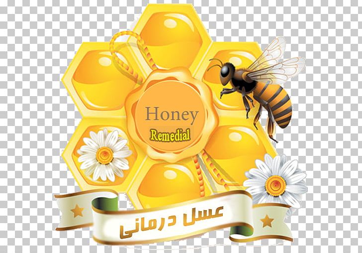 Honey Bee Honeycomb Insect PNG, Clipart, Bee, Download, Flower, Food, Fruit Free PNG Download