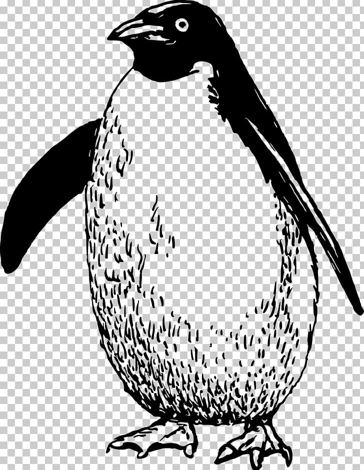 Penguin Flightless Bird Antarctica PNG, Clipart, Animal, Animals, Antarctica, Artwork, Beak Free PNG Download