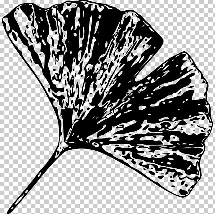 Ginkgo Biloba Leaf Tree Plant PNG, Clipart, Black And White, Butterfly, Clipart, Clip Art, Computer Icons Free PNG Download