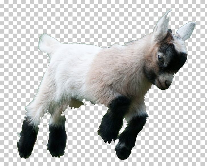 goat simulator logo png