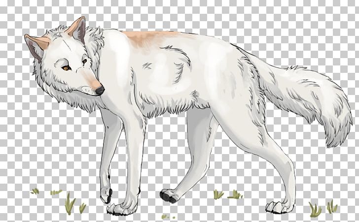 Gray Wolf Cat Fur Line Art Sketch PNG, Clipart, Amber Eyes, Animals, Artwork, Carnivoran, Cat Free PNG Download