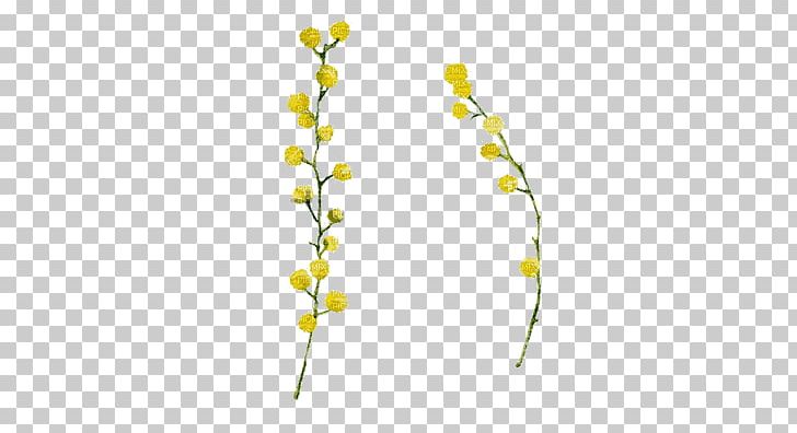 Mimosa Drawing PNG, Clipart, Art, Branch, Cut Flowers, Desktop Wallpaper, Drawing Free PNG Download