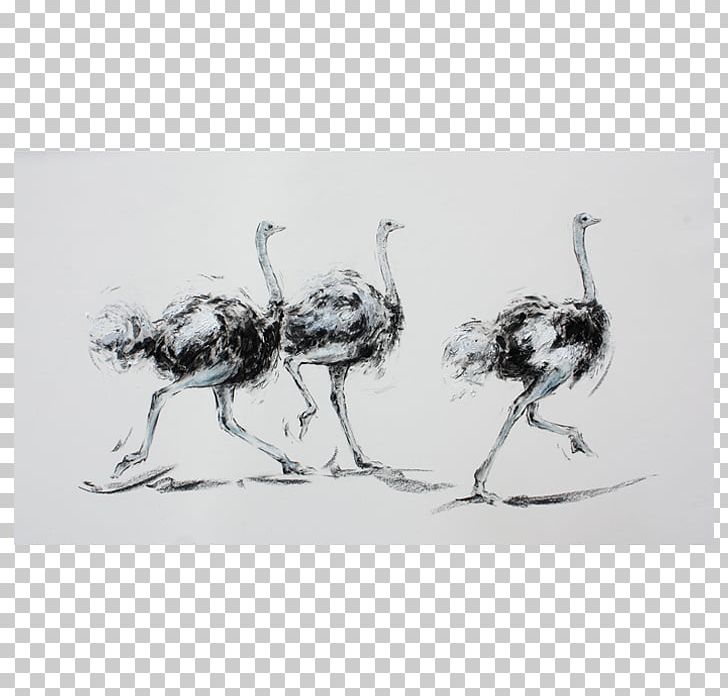 Work Of Art Frames Artist Sketch PNG, Clipart, Art, Artist, Art Museum, Artwork, Bird Free PNG Download