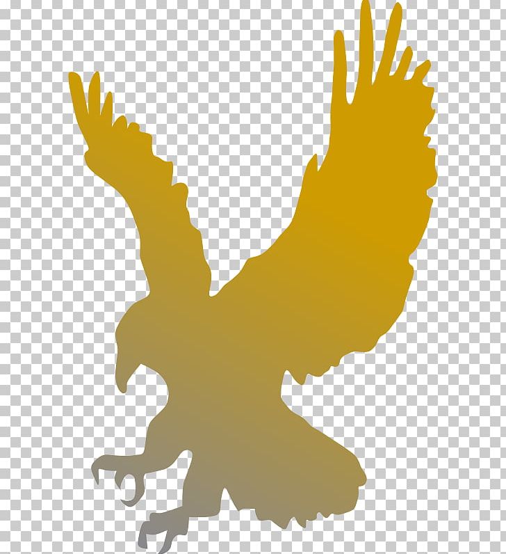 Bald Eagle PNG, Clipart, Animals, Art, Beak, Bird, Bird Of Prey Free ...