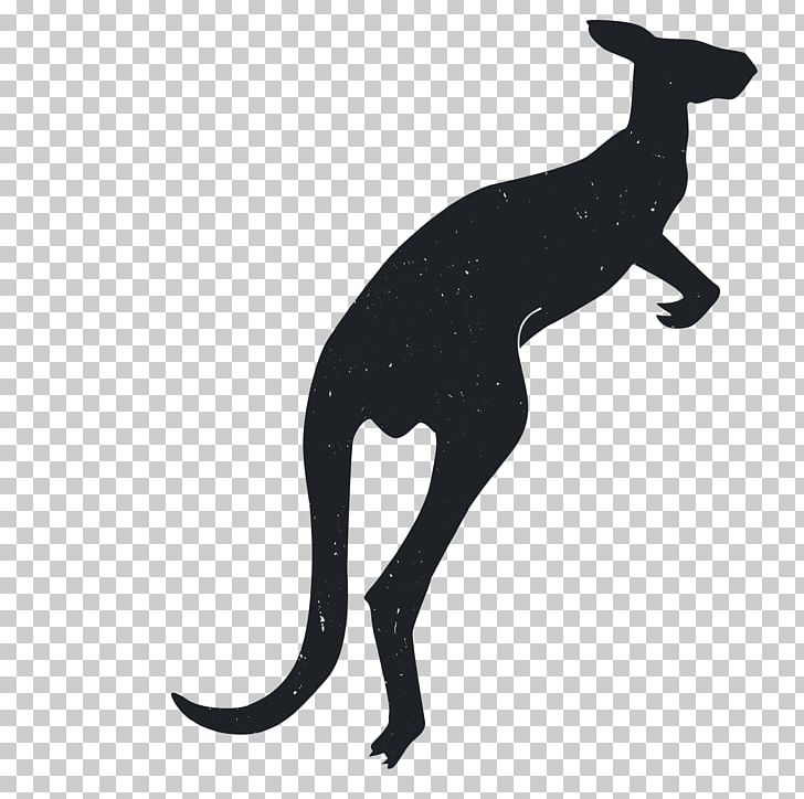 Dog Silhouette Kangaroo Animal PNG, Clipart, 3d Animation, Animal, Animals, Anime Character, Anime Girl Free PNG Download